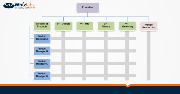 Projectized Organization Chart