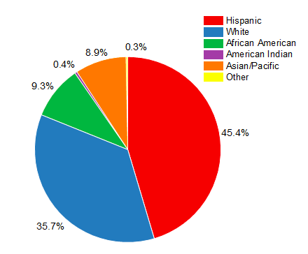 pie chart