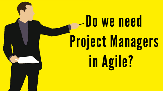 Project Managers