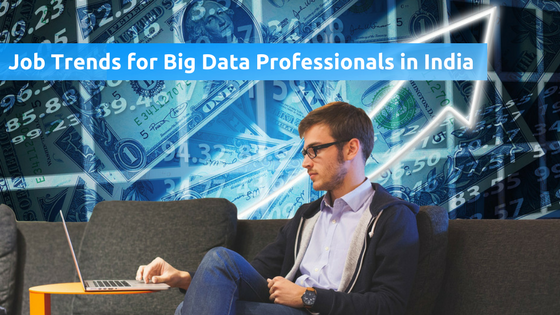 Big Data Professionals