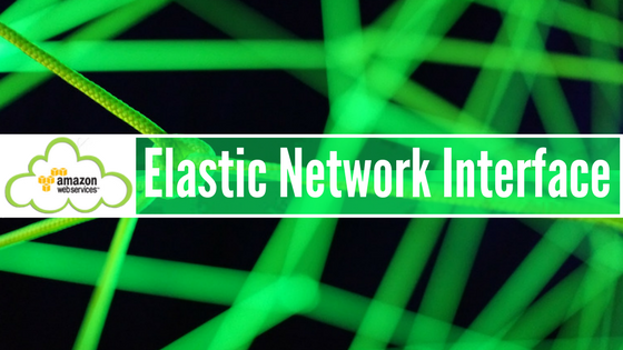 Elastic Network Interface