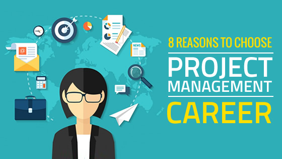 Project Management Career