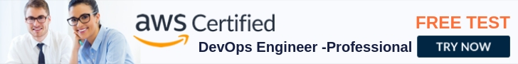 DevOps Engineer Professional Free Test