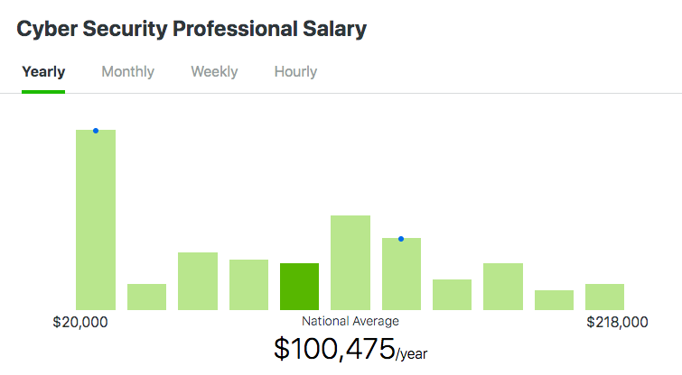 cyber security professional salary