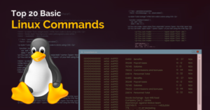 Top 20 Basic Linux Commands You Should Know - Whizlabs Blog