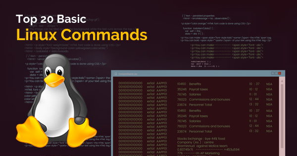 Uden dialekt Garderobe Top 20 Basic Linux Commands You Should Know - Whizlabs Blog