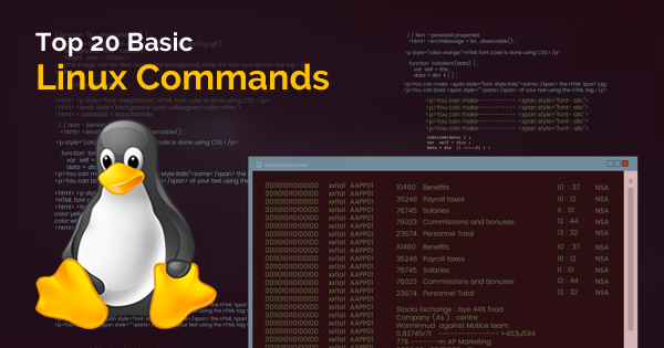 basic Linux commands