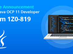 1Z0-819 Testking