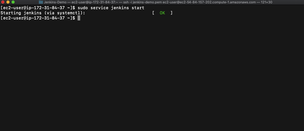 jenkins start command