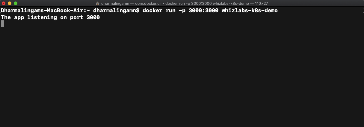 docker run