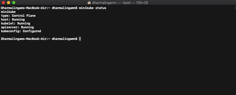 minikube status cmd