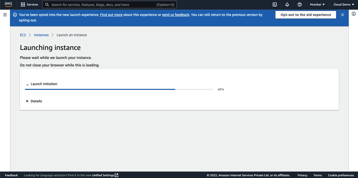 AWS launch instance