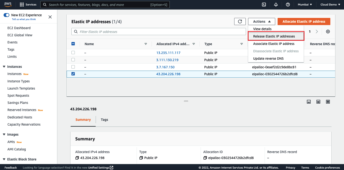 AWS release ip