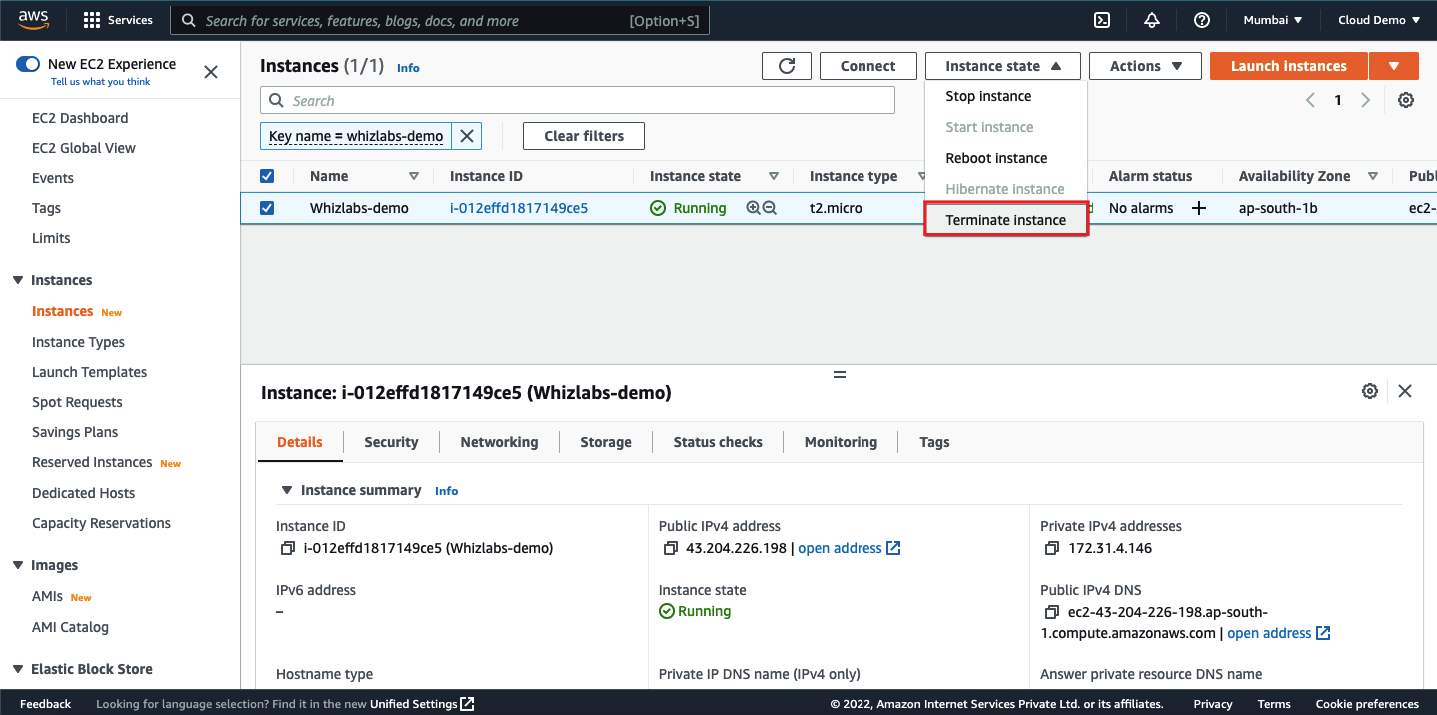 AWS terminate instance