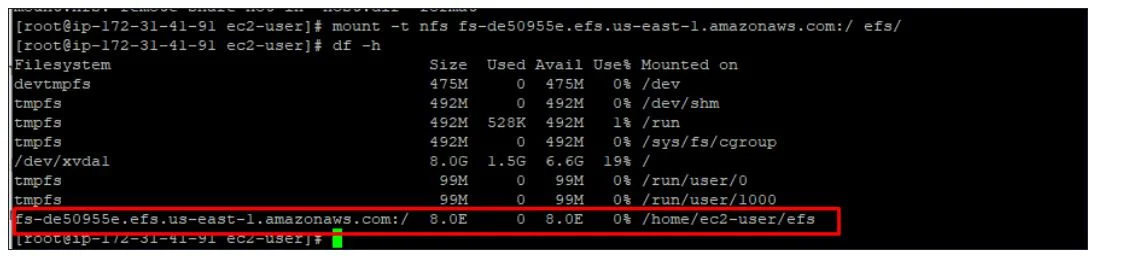 Mount the File System to MyEC2-1 Instance