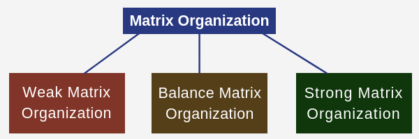 matrix organizational structure