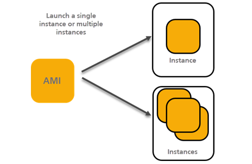 EC2 Instance