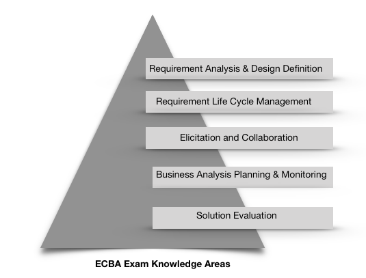 ECBA Certification Knowledge Areas