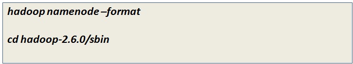 Format the Namenode