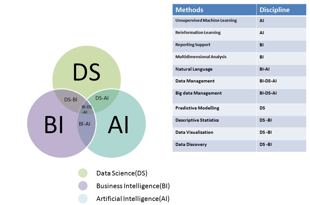 AI BI DS