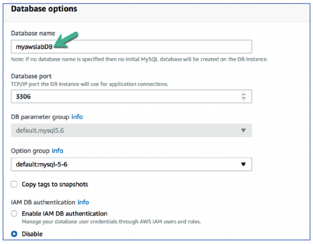 database options